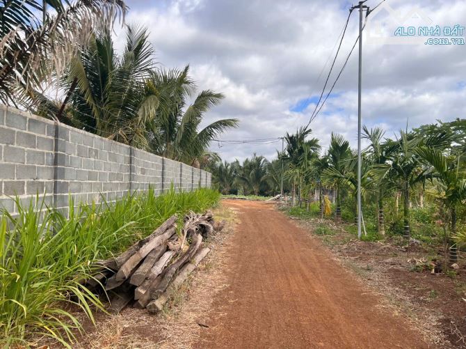 CHÍNH CHỦ BÁN NHÀ VƯỜN 5300M², GẦN TRUNG TÂM TP BUÔN MA THUỘT - 3