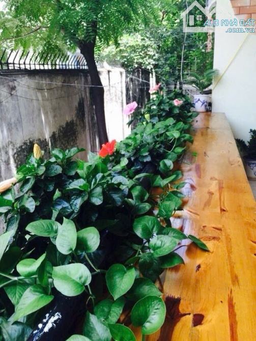 Bán nhà Phan Kế Bính 45m 4 tầng giá chỉ 20.5 tỷ - 3