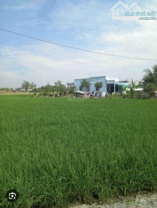 CHÍNH CHỦ CẦN BÁN GẤP ĐẤT CÁCH ĐƯỜNG LÊ HỮU NGHĨA 100M, TP. TÂN AN, GIÁ 1.1 TỶ - 3