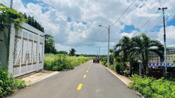 🌿 SIÊU RẺ ĐẸP – ĐẤT LÀM NHÀ VƯỜN NGAY TRUNG TÂM TT. ĐẤT ĐỎ 🌟 - 3