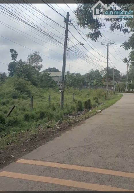 🔥 BÁN GẤP ĐẤT BÌNH SƠN 2 MẶT TIỀN – 2.527M², CÓ 300M² THỔ – GIÁ 26 TỈ TL - HẺM ĐƯỜNG 769 - 3