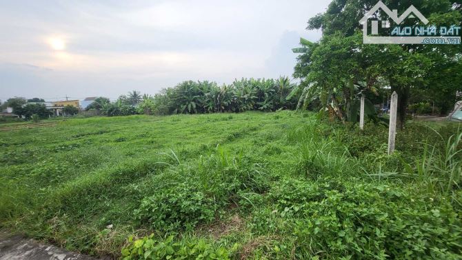 Cần bán 171m2 đất thổ cư ở Tân Thông Hội – Giá 800tr – Đất cách mặt tiền QL22 200m - 3