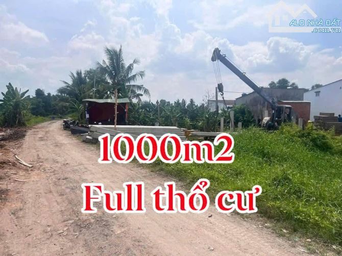 1000m2 thổ cư MT xã Bình Mỹ chỉ 8.5 tỷ - 3