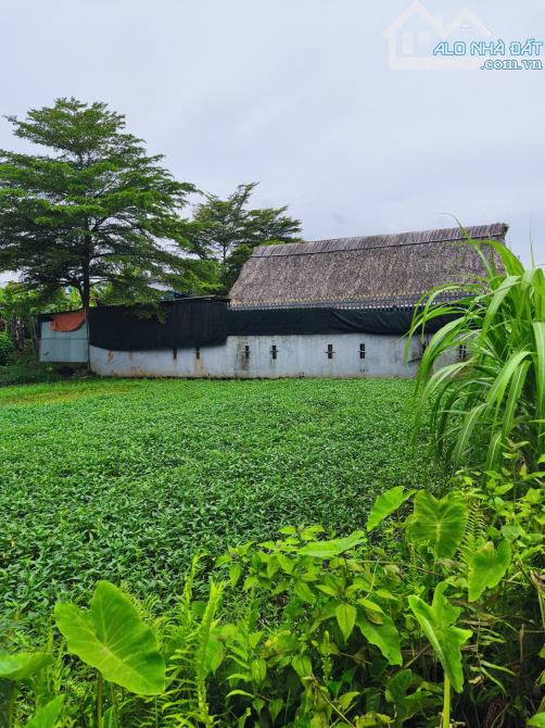 "Đất gần Uỷ ban xã Bình Mỹ củ - 3
