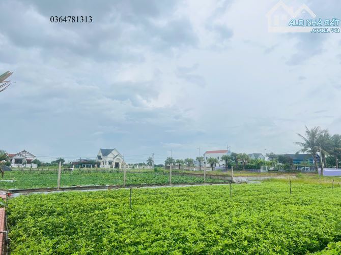 Siêu phẩm đất mặt biển Quất Lâm, đường 72m lô góc 3 mặt, 710m2 MT40m full thổ cư - 3