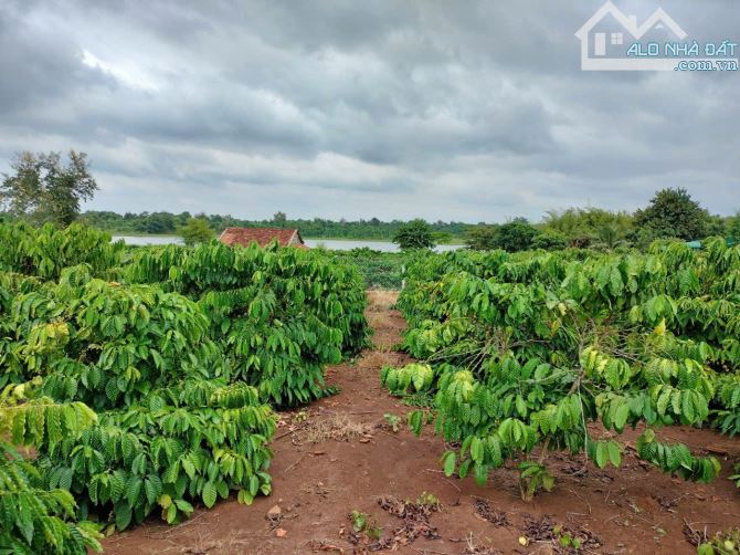 ĐẤT 2 MẶT TIỀN VIEW HỒ BA VÒI- BMT - CƠ HỘI VÀNG - 4