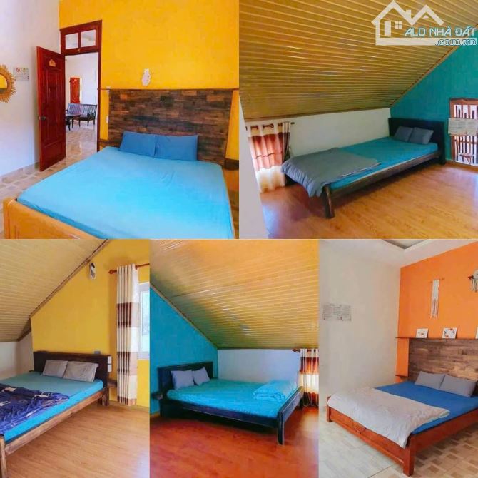 CHO THUÊ HOMESTAY PHAN CHU TRINH PHƯỜNG 9 TP ĐÀ LẠT - 4