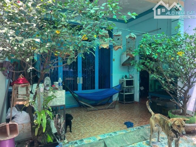 🌾🌾 BÁN NHÀ NGUYÊN CĂN, 110M, NHỈNH 8TỶ, HXH, CÁT LÁI, TP THỦ ĐỨC - 4