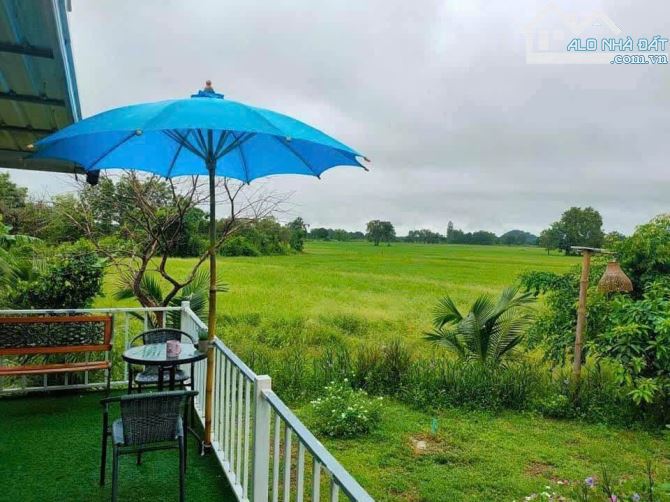 Tôi Chính Chủ Cần Ra Gấp Miếng Đất Vườn View Kênh Ngay Chợ Cũ Trảng Bàng DT 325m2 Giá 700T - 4