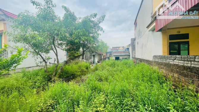 BÁN ĐẤT FULL THỔ CƯ 335m2 PHƯỜNG ĐÔNG QUANG-THANH HÓA - 4