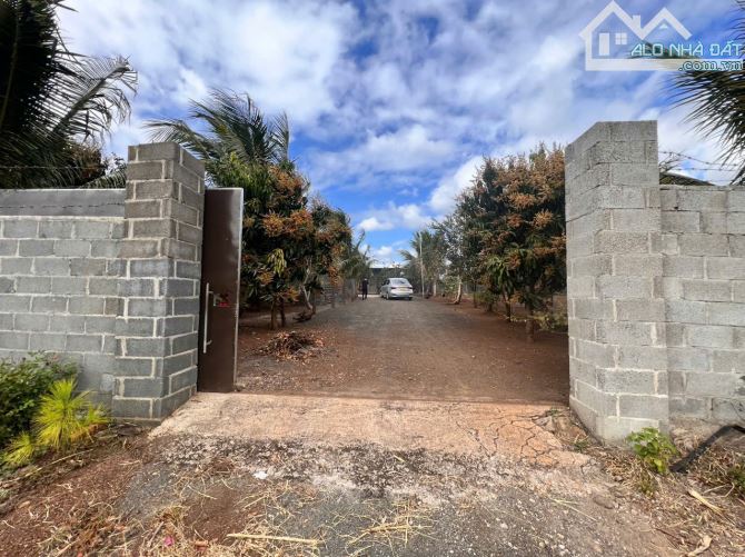 CHÍNH CHỦ BÁN NHÀ VƯỜN 5300M², GẦN TRUNG TÂM TP BUÔN MA THUỘT - 4