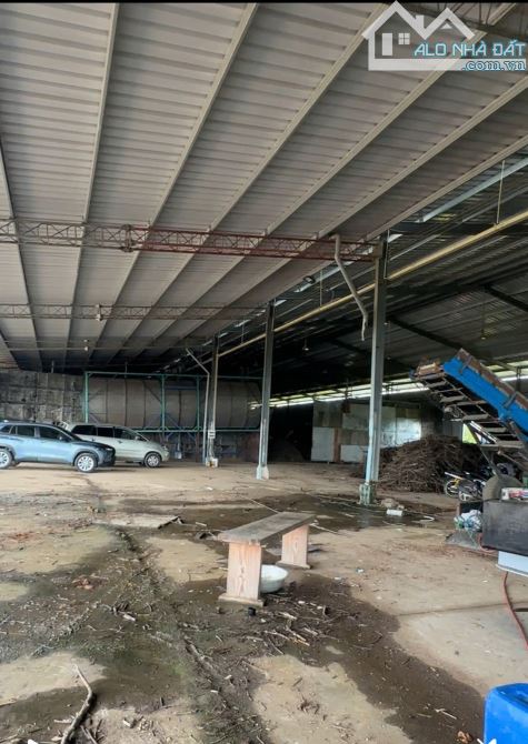 Bán nhà xưởng 28 hecta tại Xuân Lộc Đồng Nai giá rẻ có sẵn 5,6 hecta đất SKC - 4