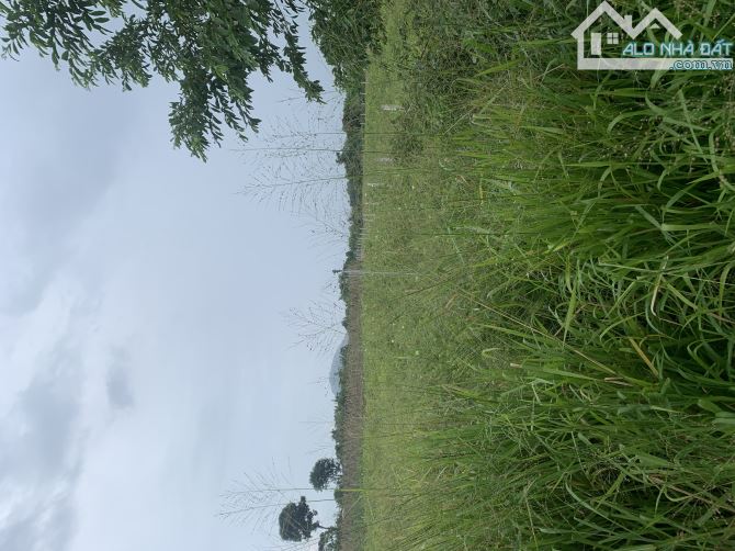 bán đất xã ( xuân tây cũ ) xuân đông.tỉnh đồng nai - 4