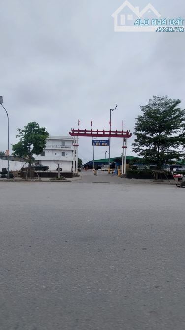 Bán đất 4,85 tỷ, Nam Sông Cấm, Sở Dầu, Hồng Bàng - 4