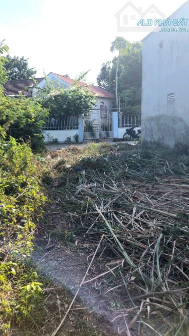 🌾🌾 bán đất 2  mặt tiền Diên an đường ô tô - 4