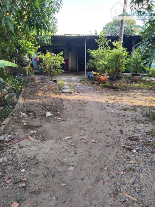 "Nhà vườn hoàn công Tân Xuân - Hóc Môn - 4