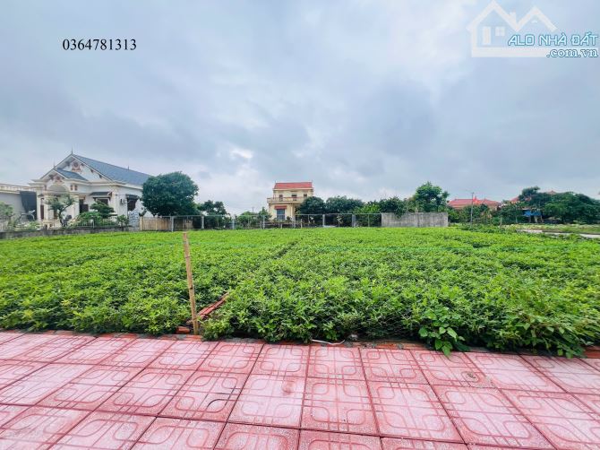 Bán đất biển Quất Lâm Trục chính kinh doanh cực đẹp 365m2, MT18.3m đối diện bãi tắm 1 - 4