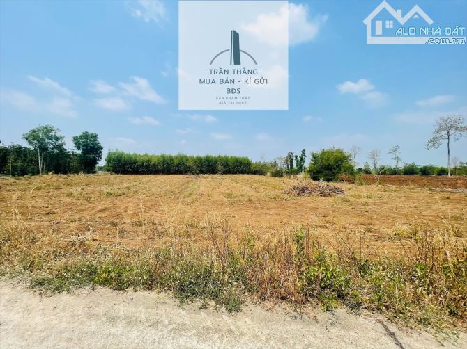 🌿 BÁN ĐẤT GẦN HỒ SÔNG RAY – SƠN BÌNH CŨ (XUÂN SƠN – TP.HCM) 🌿 - 5