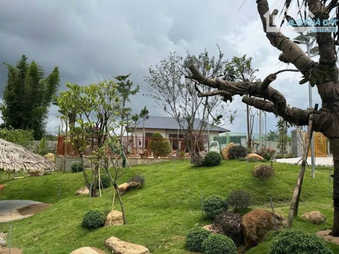 Bán đất 100m2 sổ riêng xây dựng-phú hội đức trọng lâm đồng 1 tỷ 380 triệu - 5
