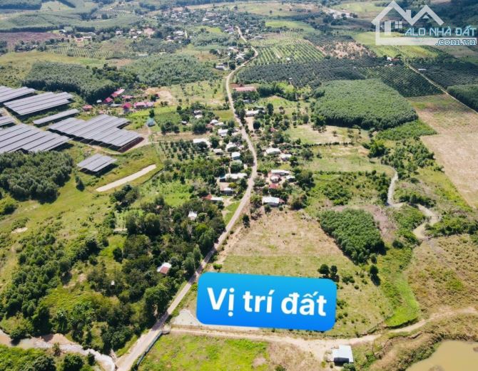Bán đất Khánh Phú gần full thổ cư mặt tiền đường nhựa bên hông Uỷ ban xã đi vào - 5
