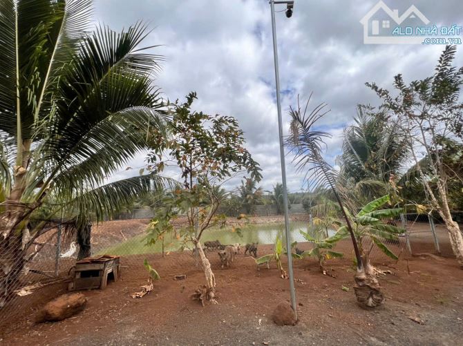 CHÍNH CHỦ BÁN NHÀ VƯỜN 5300M², GẦN TRUNG TÂM TP BUÔN MA THUỘT - 5