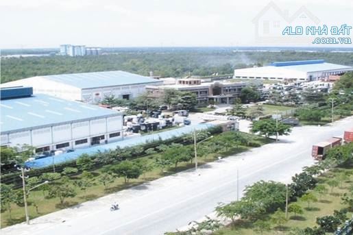 bán đất khu công nghiêp gia thuận ,huyên gò công đông , đối diện TPHCM - 5