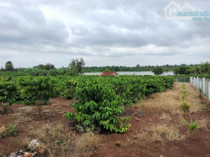 ĐẤT 2 MẶT TIỀN VIEW HỒ BA VÒI- BMT - CƠ HỘI VÀNG - 6