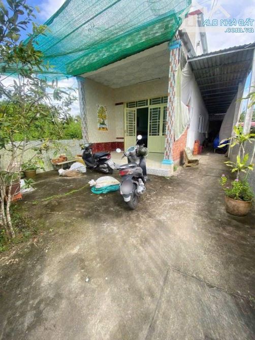 Hàng ngộp cần bán gấp căn nhà cấp 4 ở Phước Hiệp, Củ Chi, 151,3m2, 700trieu, sổ sẵn - 6