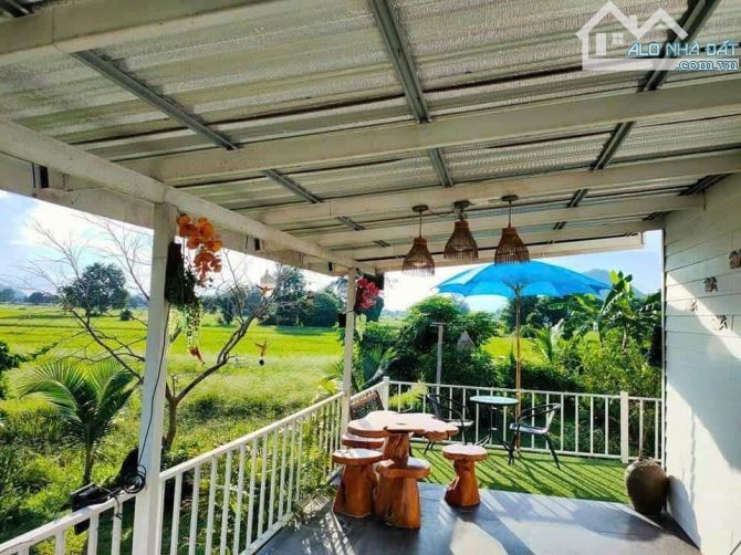Tôi Chính Chủ Cần Ra Gấp Miếng Đất Vườn View Kênh Ngay Chợ Cũ Trảng Bàng DT 325m2 Giá 700T - 6
