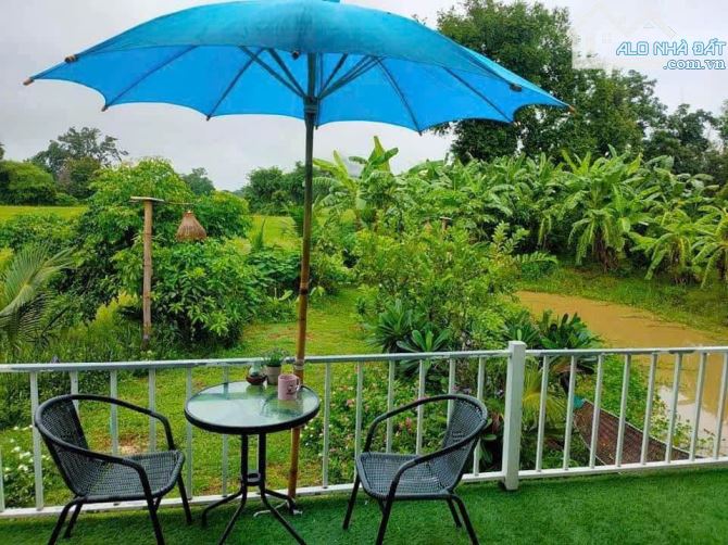 Tôi Chính Chủ Cần Ra Gấp Miếng Đất Vườn View Kênh Ngay Chợ Cũ Trảng Bàng DT 325m2 Giá 700T - 7