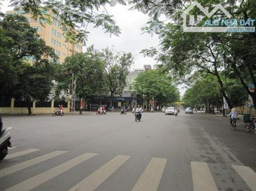 Trần Hưng Đạo – 120m² x 9T • MT 7.2m • Dòng tiền ~500tr/th • Sổ đỏ chính chủ • Giá 5X tỷ ( - 8