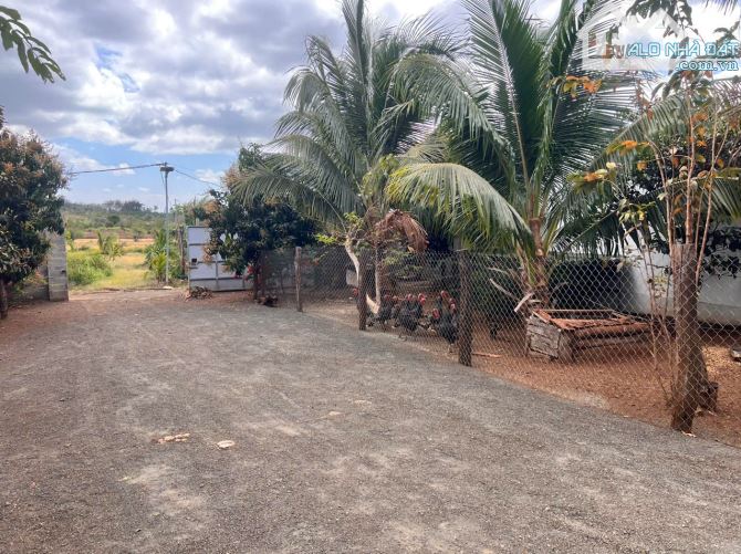 CHÍNH CHỦ BÁN NHÀ VƯỜN 5300M², GẦN TRUNG TÂM TP BUÔN MA THUỘT - 9