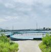 Bán 1 lô đất tại An Ngãi - Tam An,Long Điền Giá ngộp chỉ : 1 tỷ/ lô với DT: 115m2