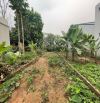 🏠CỰC ĐẸP THANH AM LB, DT74M2, MT5.6M, ÔTÔ ĐỖ CỬA,THÔNG NGÕ, VỈA HÈ, KINH DOANH, 16.X TỶ