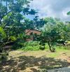 ÁC EM MUỐN SANG LẠI MIẾNG VƯỜN Ở PHÚ GIÁO BÌNH DƯƠNG Cách Đường DH 507 chỉ 500m
