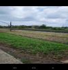Bán đất giá rẻ thổ cư 2300m2 xã Hưng Long QH dân cư