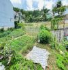 💎 Chào Bán ĐẤT VIEW Nghĩ Dưỡng  💎 Trần Anh Tông – Đà Lạt .