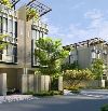 VÀI CĂN BIỆT THỰ SONG LẬP CUỐI CÙNG The Orchard Sycamore - HĐ trực tiếp với CDT CAPITALAND