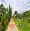 Siêu rẻ ngay khu công nghiệp Định Quán 166m2(5mx32m) khu dân cư đông đúc chỉ 695 triệu