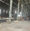 Cho thuê kho xưởng 5000m2 có pccc vách tường kiểm duyệt, ở TP Thuận An Bình Dương