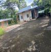 CẦN BÁN 7500m2 PHỦ HỒNG NGUYÊN NHÀ VƯỜN TRÁI CÂY SẴN GIÁ RẺ CHỈ 3tỷ CÁCH BIỂN 20km.