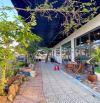 🏡 NHÀ 2 TẦNG LÔ GÓC TRÚC BẠCH – 135M² – KĐT NAM HÒA XUÂN – DÒNG TIỀN 15TR/THÁNG