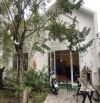 🏡 175m2 2 mặt kiệt Tiểu La, chỉ nhỉnh 7 tỷyyyy