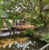🌿 Nhà vườn 1000m² Bình Mỹ – Sẵn ở ngay 🌿