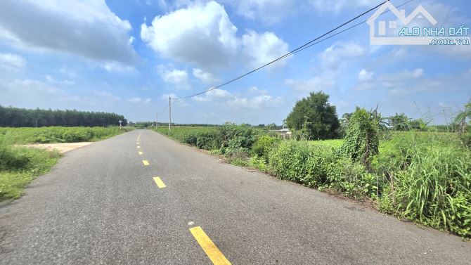 Siêu rẻ 1 mẫu 3 láng dài gần ql 55 giá 8 tỷ 500 - 1