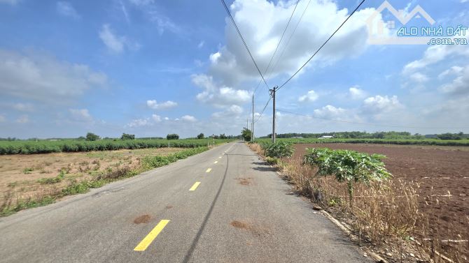 Siêu rẻ 1 mẫu 3 láng dài gần ql 55 giá 8 tỷ 500 - 2