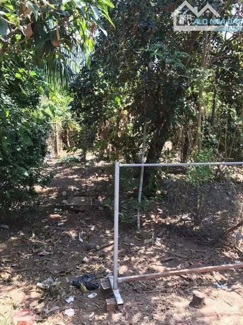 Bán nhà 500m2 có 50m2 thổ cư đường xe walam - 2