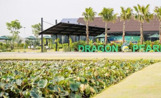 Dragon Pearl Long An – Đất nền 70m² giá chỉ từ 17tr/m², mặt tiền rộng – pháp lý sổ hồng - 3