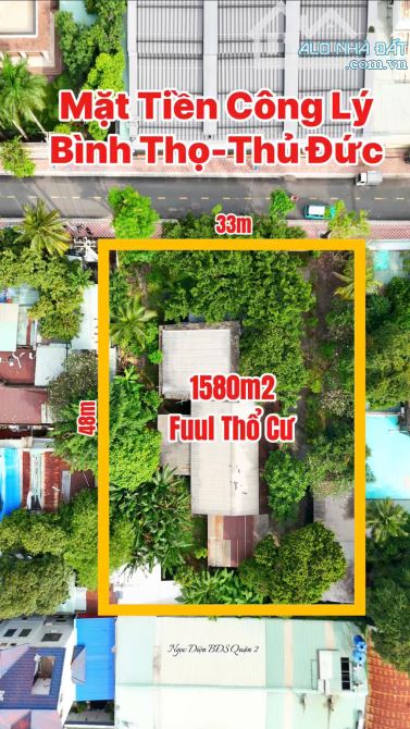 Bán Đất 1580m2(32mx49m) Mặt Tiền Công Lý,Bình Thọ,Thủ Đức-Giá 130 Tỷ TL - 3