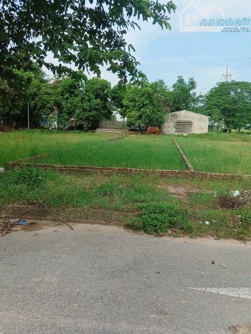 Bán Đất Tái Định Cư - Bắc Hạ(Quang Tiến) -  100M2 - 4,7 Tỷ